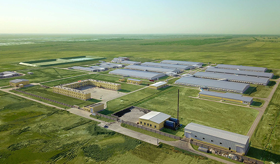 ���ִ���