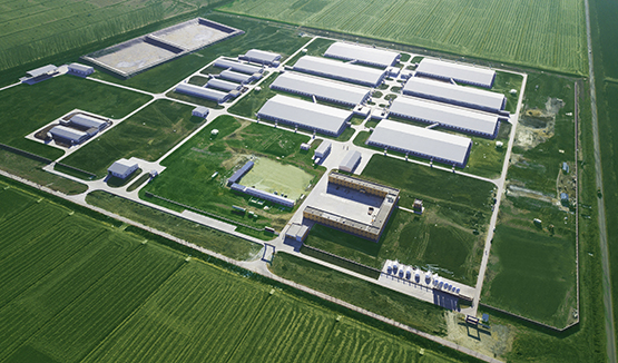 ���д���