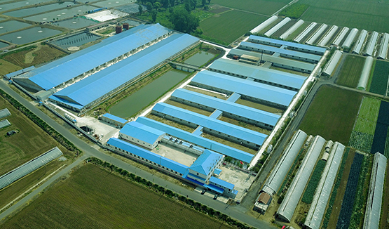 �ɶ�����